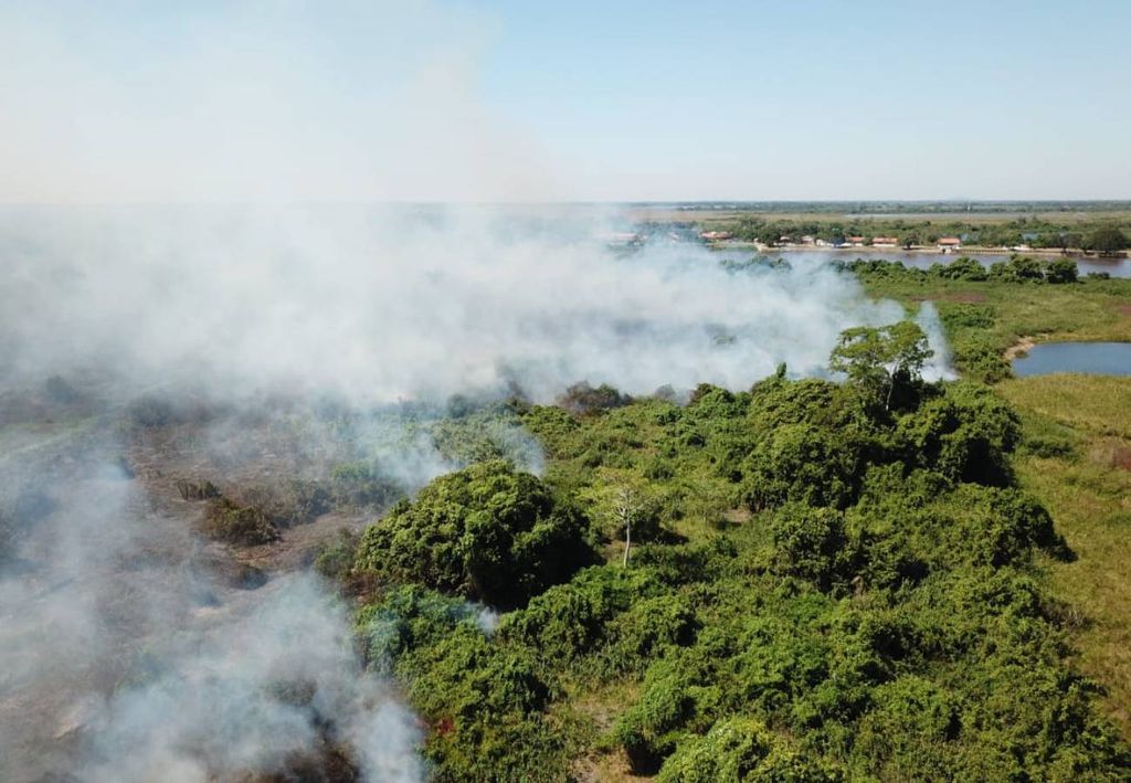 queimadas no Pantanal em 2020