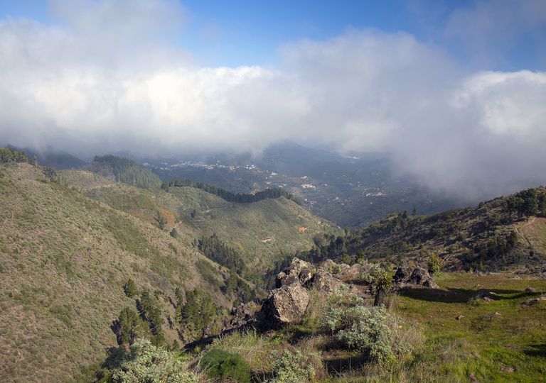 En el ímite de la inversión de los alisios, con panza de burro abajo y mar de nubes arriba. En el ímite de la inversión de los alisios, con panza de burro abajo y mar de nubes arriba.