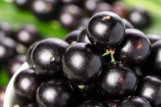 Pão com farinha da casca de Jabuticaba: a nova tendência saudável que você precisa conhecer