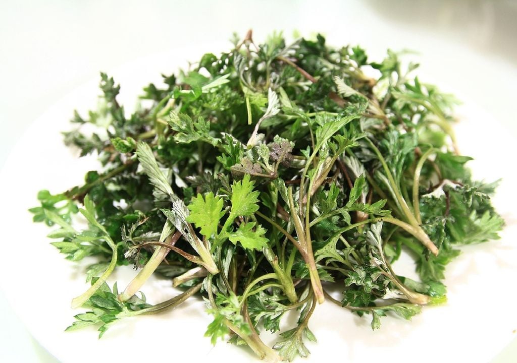 ervas aromáticas e medicinais ervas aromáticas e medicinais