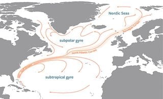 Los científicos debaten el papel de la Corriente del Golfo en las corrientes del Atlántico Norte y de la AMOC