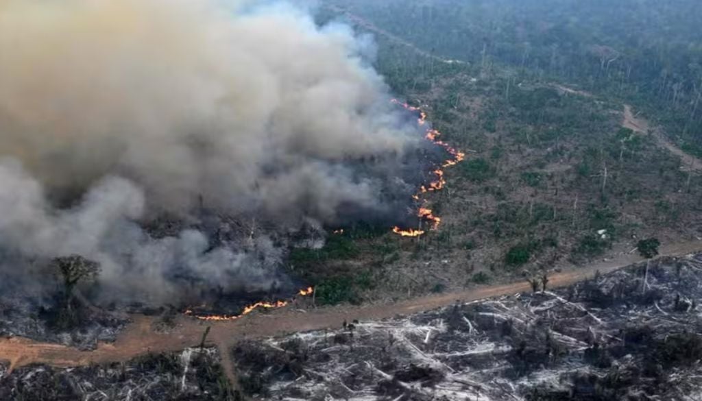 Incêndio florestal em São Félix do Xingu, no Pará, em junho de 2025. — Foto: Nelson Almeida / AFP