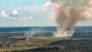Par&aacute; lidera focos de inc&ecirc;ndio no Brasil e registra n&iacute;veis cr&iacute;ticos de polui&ccedil;&atilde;o do ar