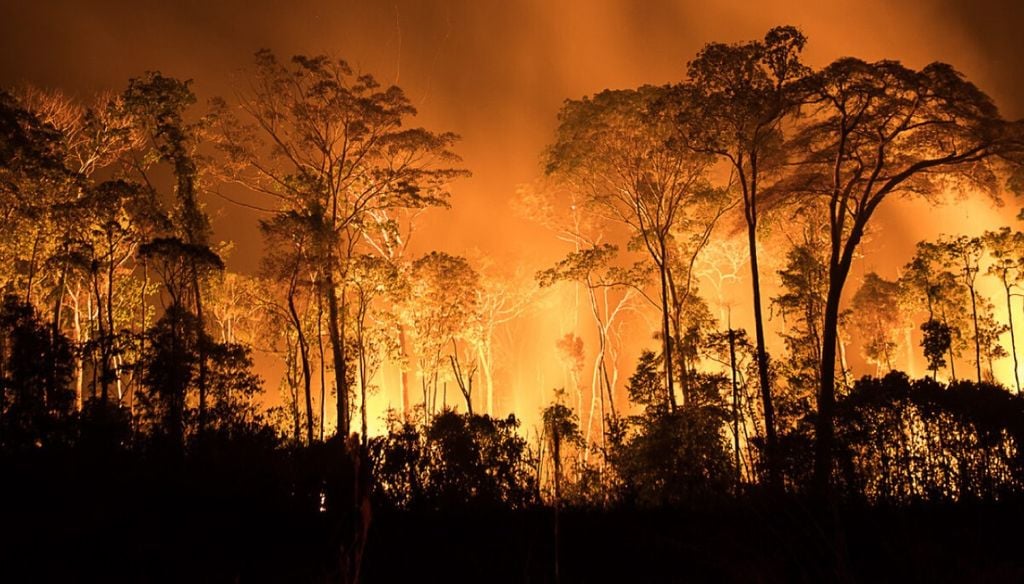 No estado do Amazonas, foram registrados 90 focos ativos, após o Estado ter registrado mais de mil pontos de fogo este mês. Crédito: Reprodução/Andi