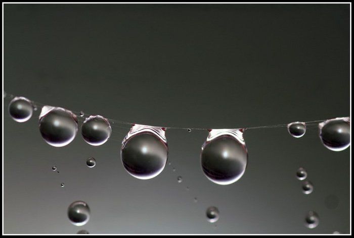 Para Nasiet: Gotas De Condensación
