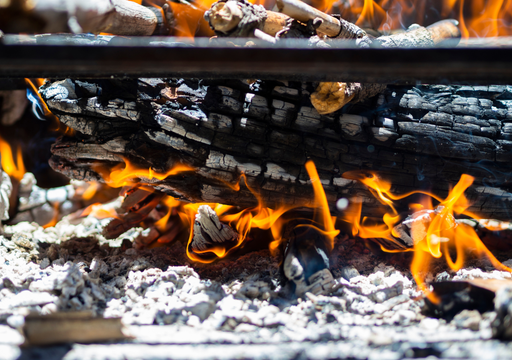 &iquest;Para qu&eacute; sirven las cenizas del asado? Los trucos caseros que ten&eacute;s que saber para usarlas en tus plantas