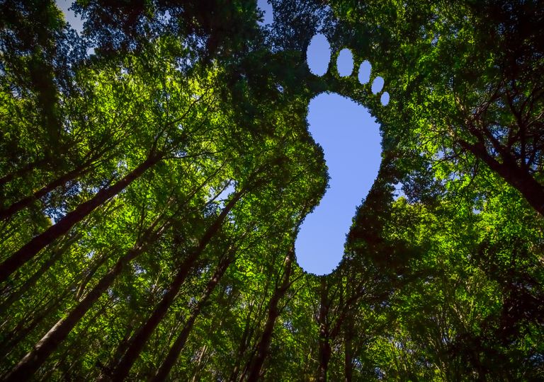 pegada de carbono; sustentabilidade; crise climática pegada de carbono; sustentabilidade; crise climática