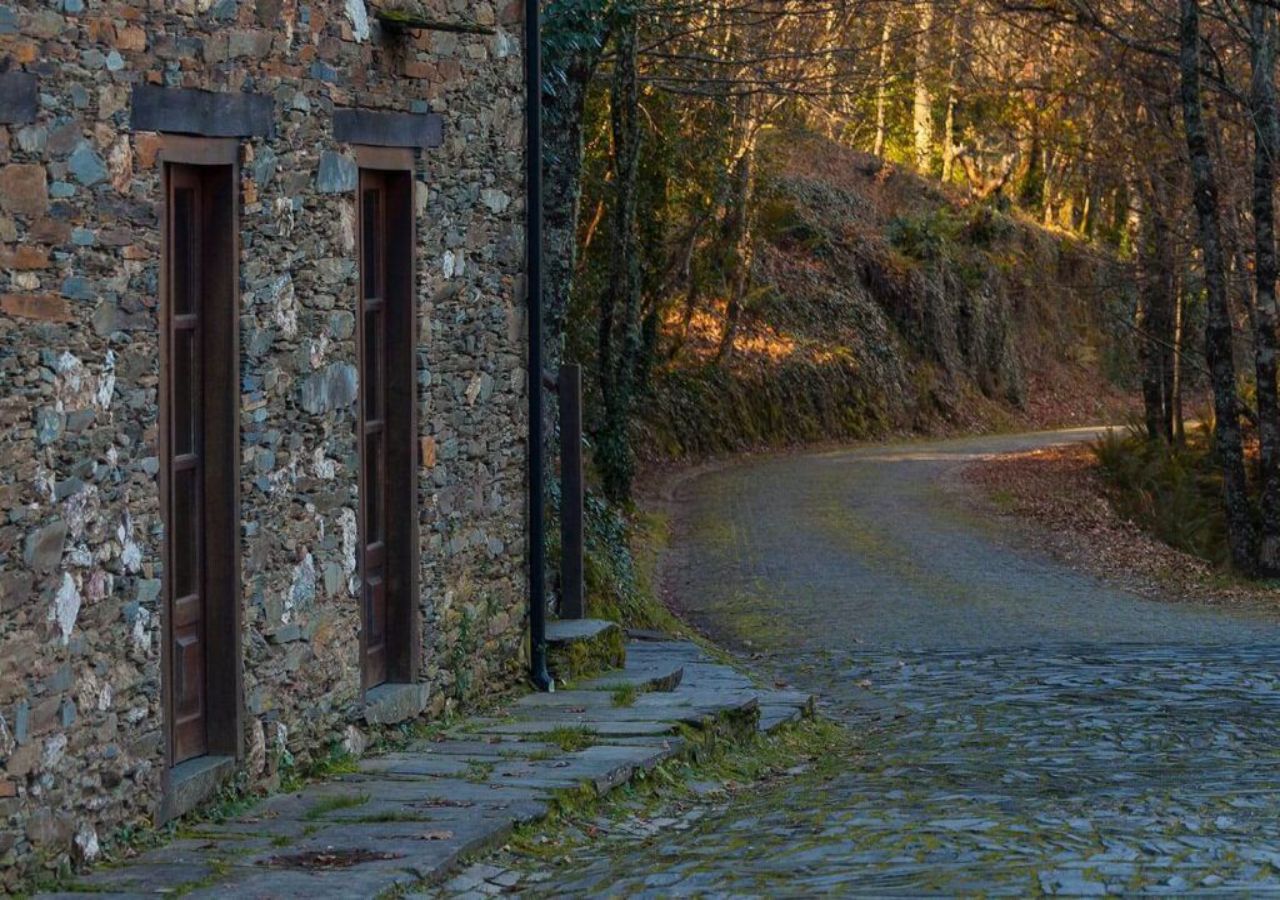 Guarda relíquias da floresta primitiva. Foto: Câmara Municipal de Arganil