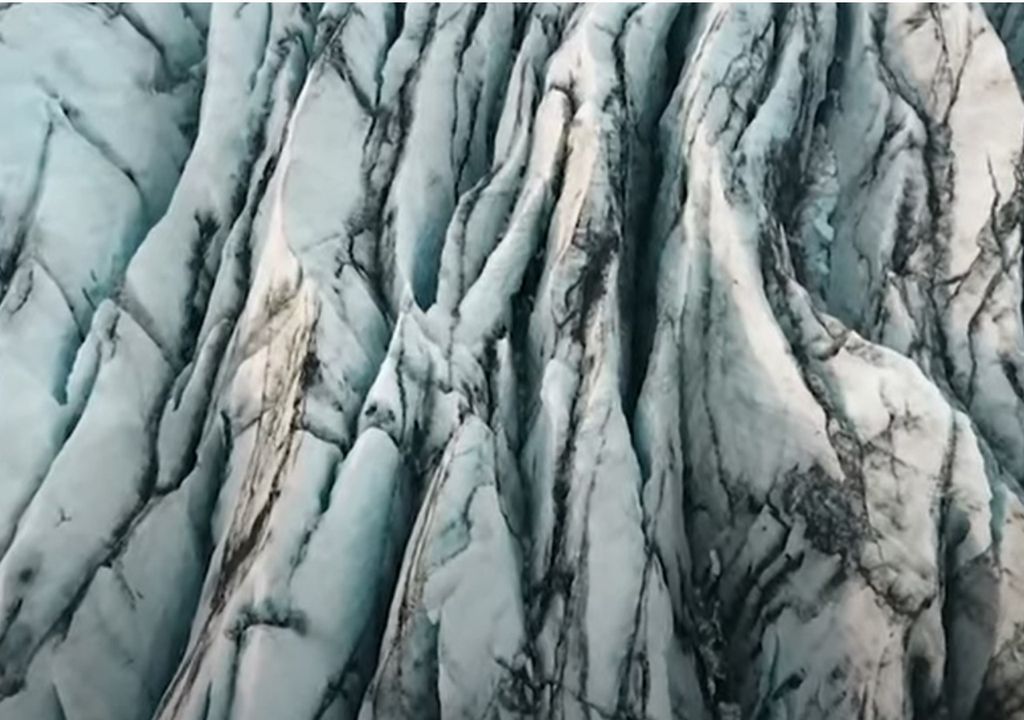 gusanos de hielo en glaciares