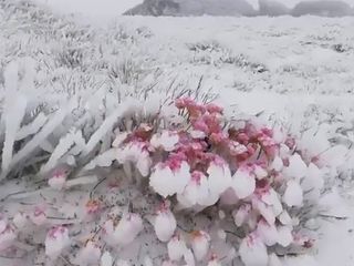 ¿Paisajes helados en junio? Sí, en nuestro país