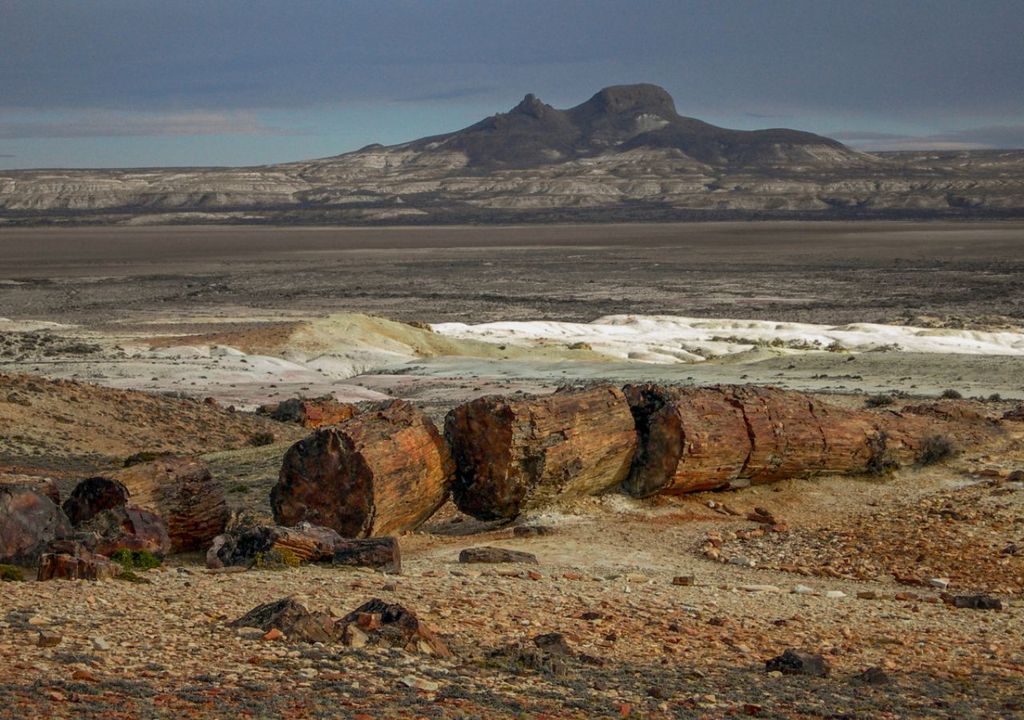 Bosque Petrificado de Jaramillo