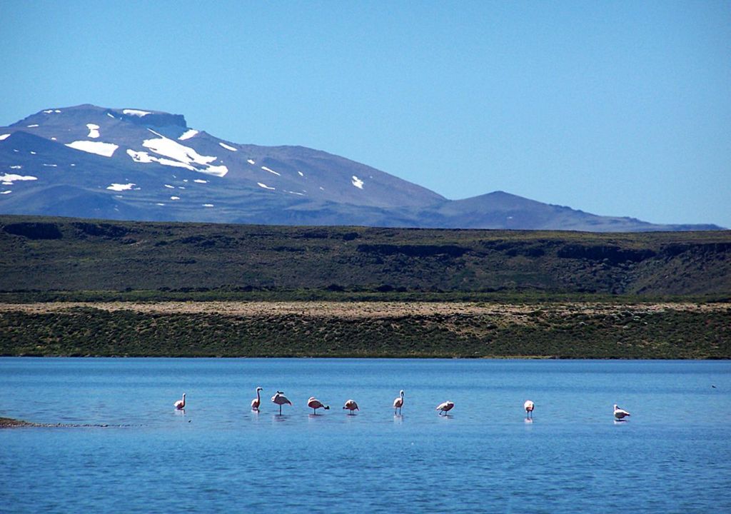 Laguna Blanca