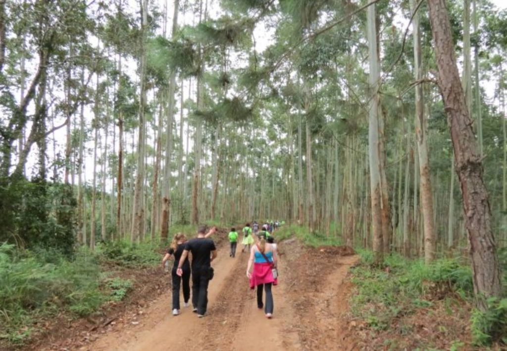 Caminhada da Natureza em Cerro Azul, Paraná Caminhada da Natureza em Cerro Azul, Paraná