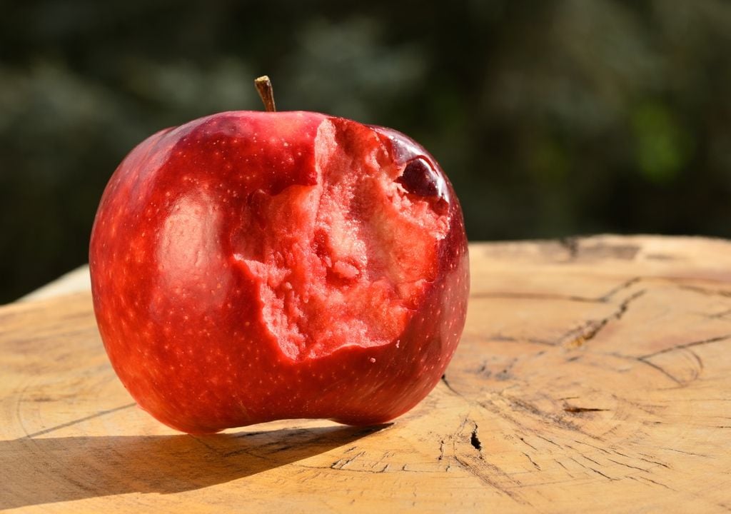 manzana La manzana Kissabel se distingue por su pulpa roja natural, una característica que busca conquistar los mercados premium de todo el mundo.