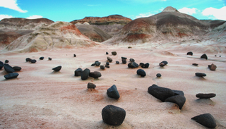 Parecen reci&eacute;n cortados, pero tienen 65 millones de a&ntilde;os: los &aacute;rboles de piedra escondidos en la estepa de Chubut