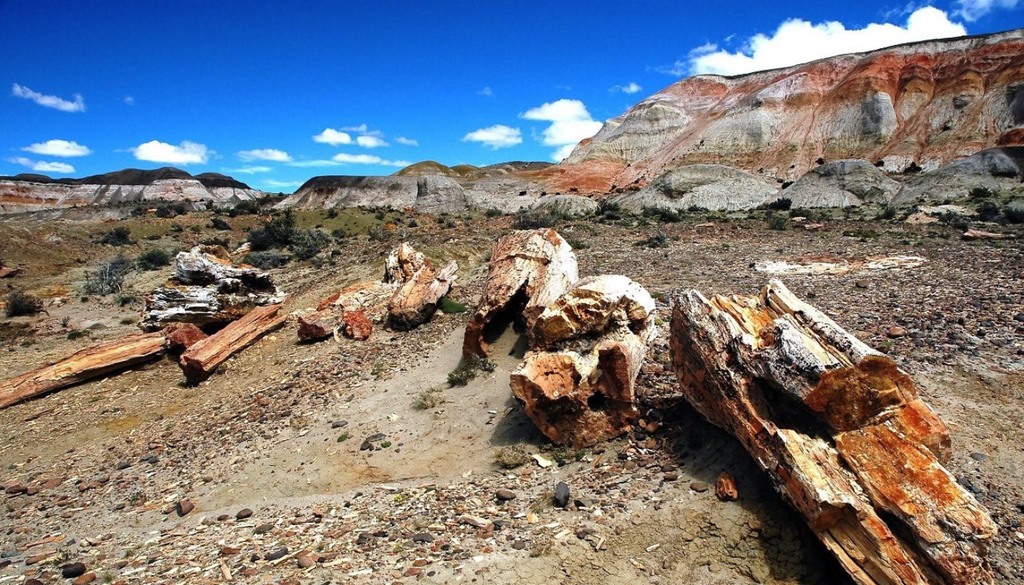 Bosque Petrificado Sarmiento Chubut Los restos de troncos y tocones petrificados permanecen dispersados a lo largo de toda la estepa, entre valles y elevaciones. Foto: X @ric_sastre