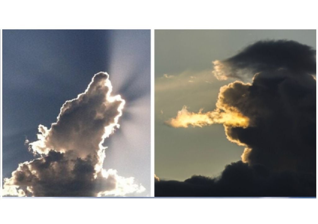 Animal cloud shapes
