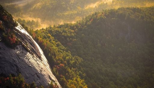 Parlamento Europeu aponta Ger&ecirc;s-Xur&eacute;s como um dos territ&oacute;rios-chave para recriar florestas prim&aacute;rias
