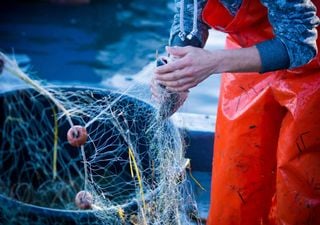 Parlamento Europeu quer combater práticas de pesca não sustentáveis por países terceiros. Novas regras aprovadas