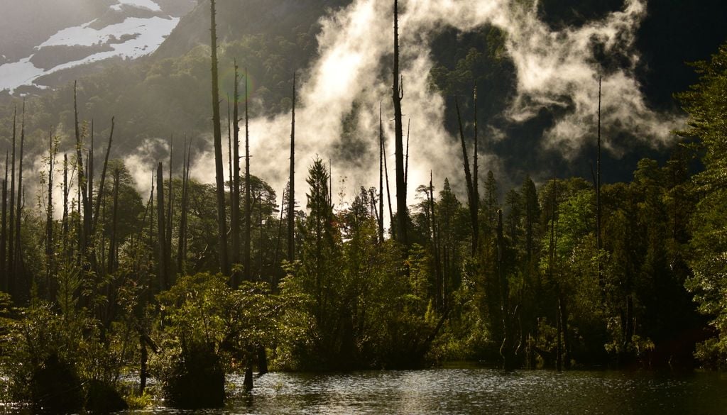 El Parque Tagua Tagua es un lugar que sorprende con sus bellos paisajes de bosques prístinos.