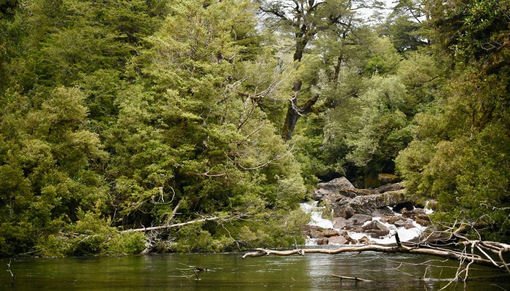 El Parque Tagua Tagua es un destino ideal para los amantes de la naturaleza.