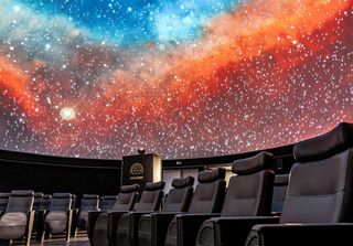 Parques, museus e mais: 5 passeios gratuitos para crianças em Salvador