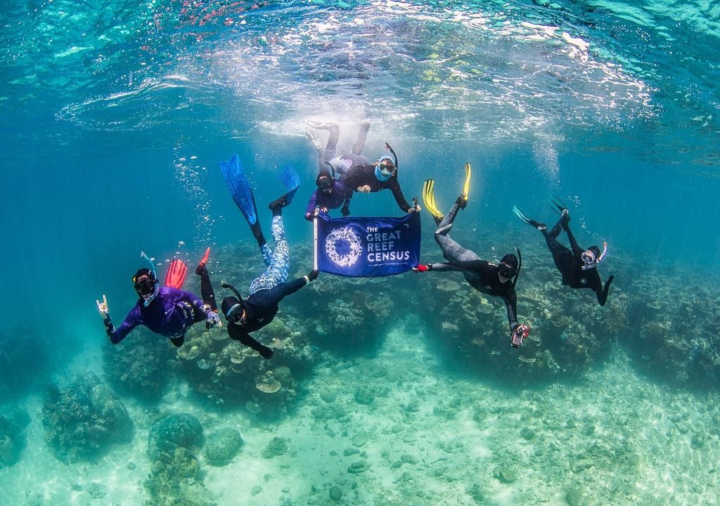 Great Reef Census