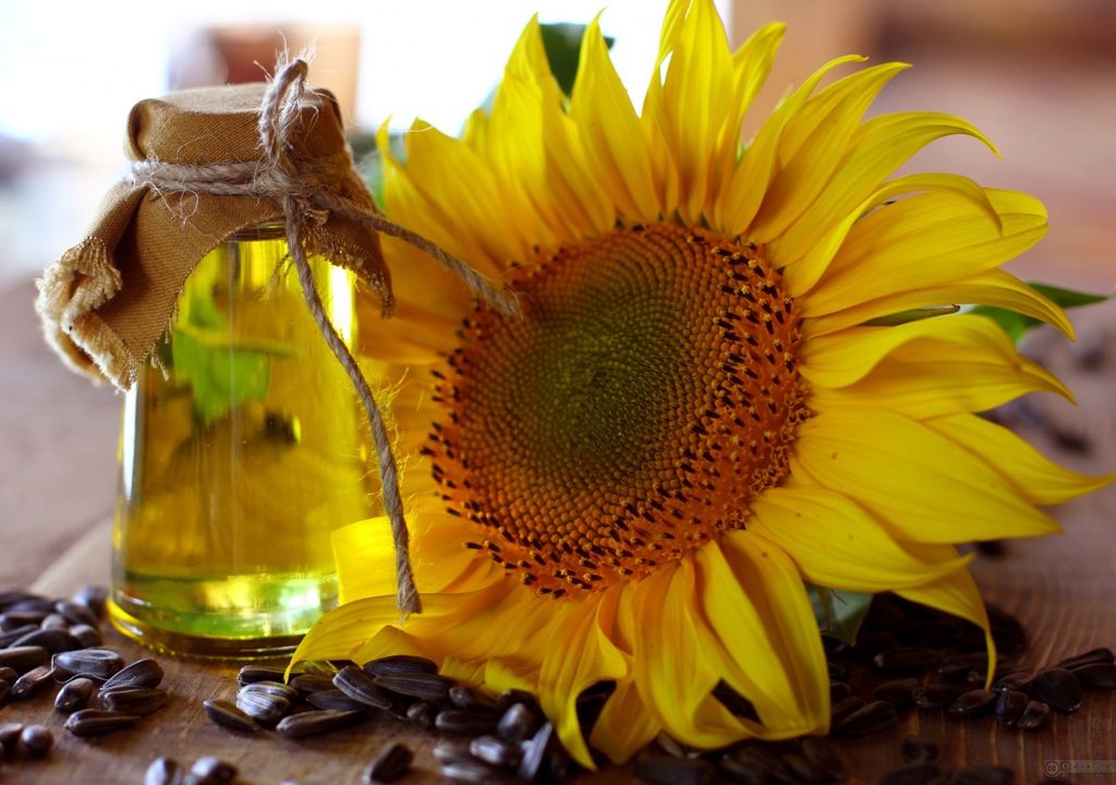 aceite girasol aceite girasol