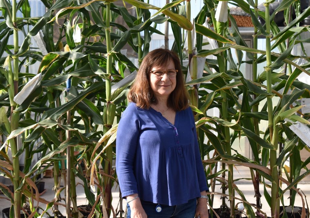 biotecnología ciencia investigación biotecnología ciencia investigación