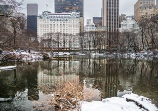  Pasaron más de 700 días para ver una nevada copiosa en Central Park, Nueva York 