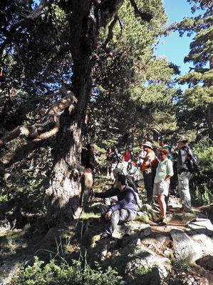 Paseos veraniegos por la Sierra