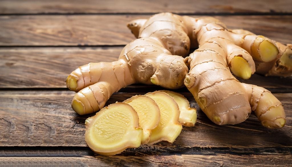plantas Fresco y recién cosechado: el jengibre aporta sabor único a tus comidas y brinda reconocidas propiedades digestivas.