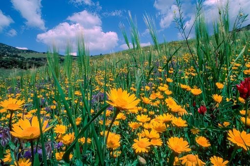 Meteo Pasqua 2026: ciclone porta maltempo al Sud, poi svolta a sorpresa. Ma attenzione a Pasquetta