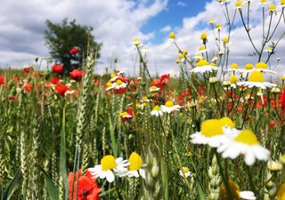 Pasqua e Pasquetta si avvicinano, che tempo ci aspetta in Italia?