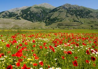 Si avvicina Pasquetta: ecco i parchi e le riserve naturali d'Italia