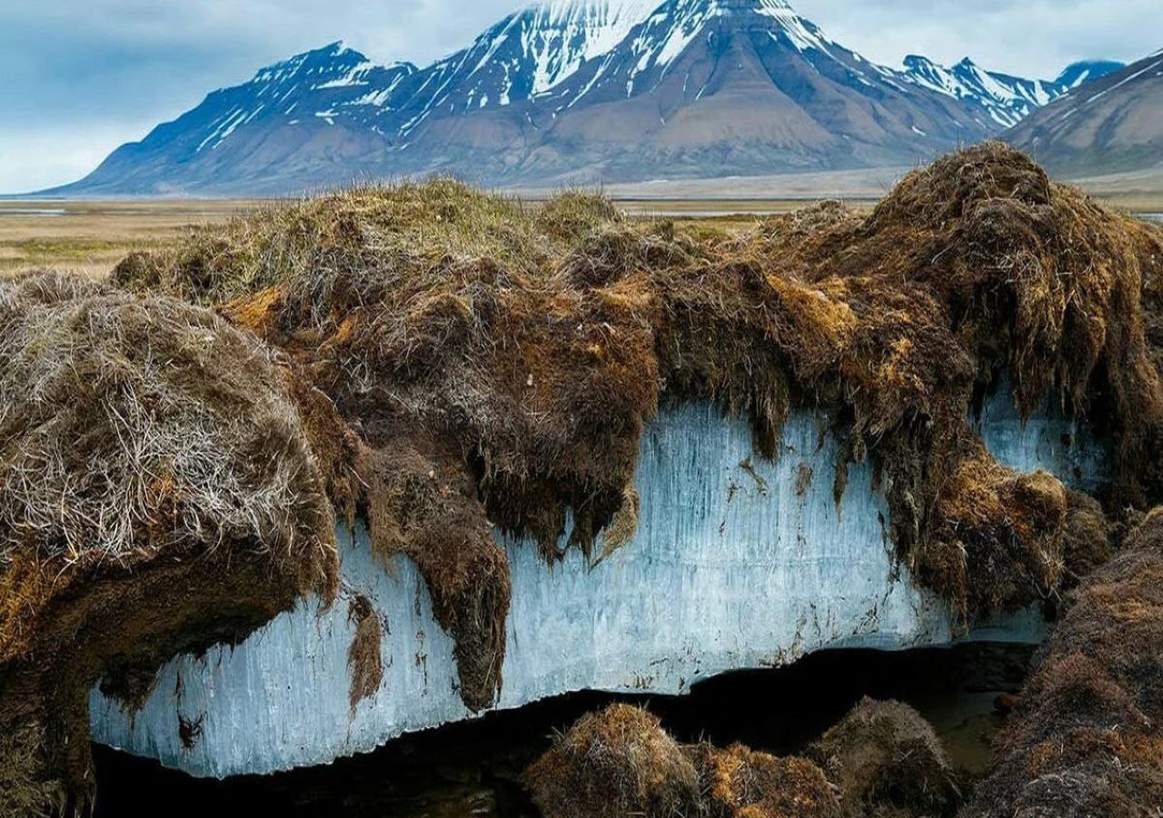 Cientistas descongelam vírus que se encontrava adormecido, na Sibéria, um dos lugares mais gélidos do planeta. Fonte: Ambiental