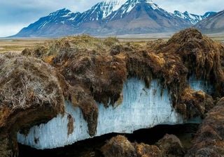 Passados 30.000 anos um vírus é ressuscitado no permafrost siberiano