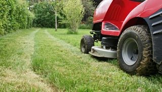 Pasto mojado: cuatro consejos para cortar el c&eacute;sped y proteger el parque cuando la humedad no da tregua