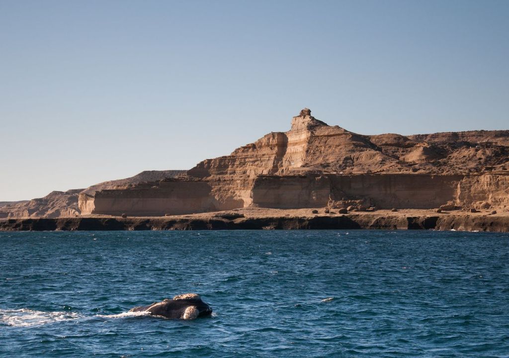 Puerto Madryn