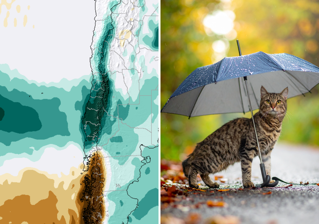 mapa de clima y gato con paraguas Varias regiones de Chile esperan lluvias y nevadas sobre el promedio en el mes de los gatos. Imagen generada por IA.