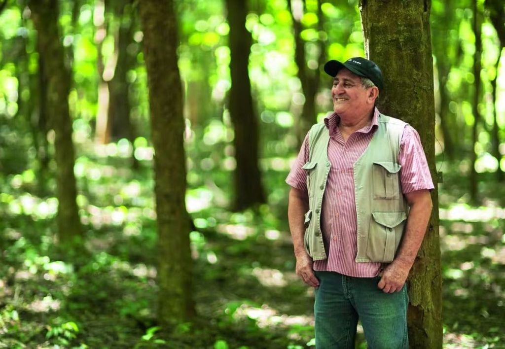 Mesmo já aposentado, o agrônomo Douglas Muniz Lyra segue dedicado ao pau-brasil — Foto: Julio Bittencourt Mesmo já aposentado, o agrônomo Douglas Muniz Lyra segue dedicado ao pau-brasil — Foto: Julio Bittencourt