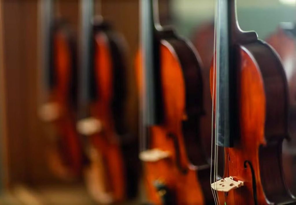 Arcos de violinos são fabricados com pau-brasil. Crédito: Julio Bitencourt Arcos de violinos são fabricados com pau-brasil. Crédito: Julio Bitencourt