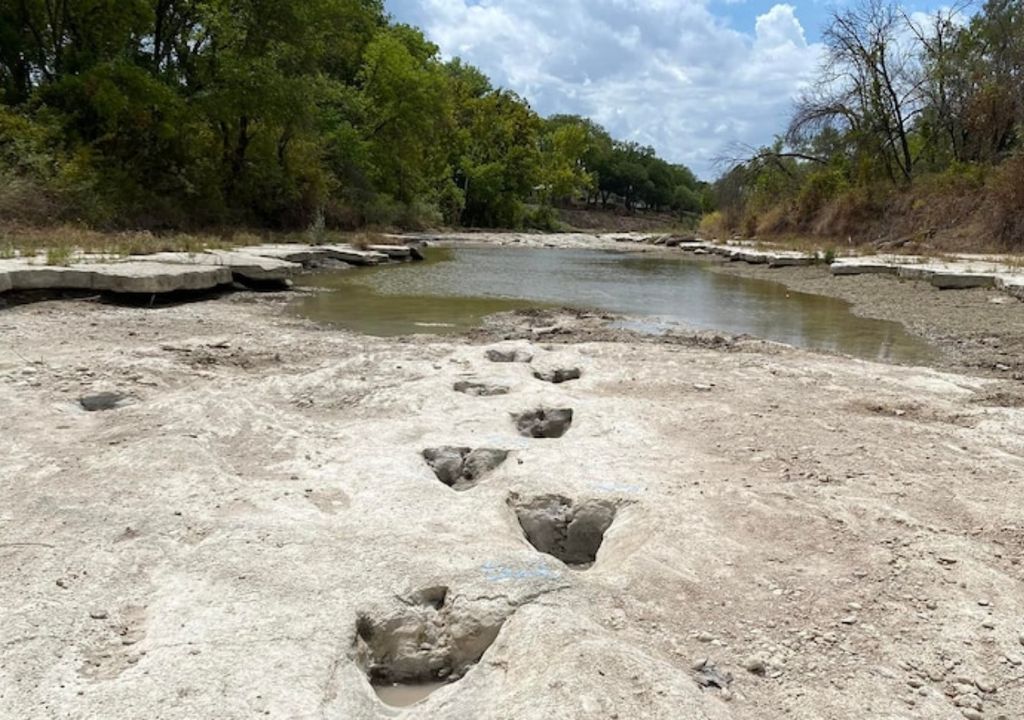 Dinosaur Footprints