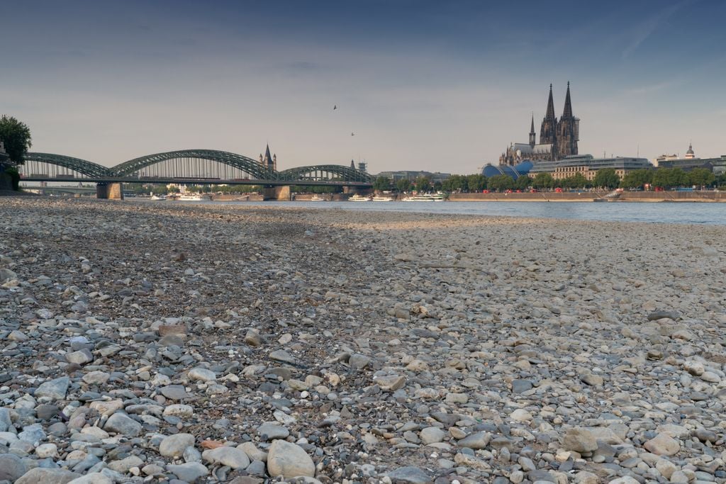 Niedrigwasser Historisches Niedrigwasser auf dem Rhein in Köln (Symbolbild)