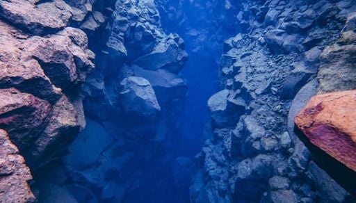Pela primeira vez, cientistas registram a forma&ccedil;&atilde;o de um novo fundo oce&acirc;nico em tempo real