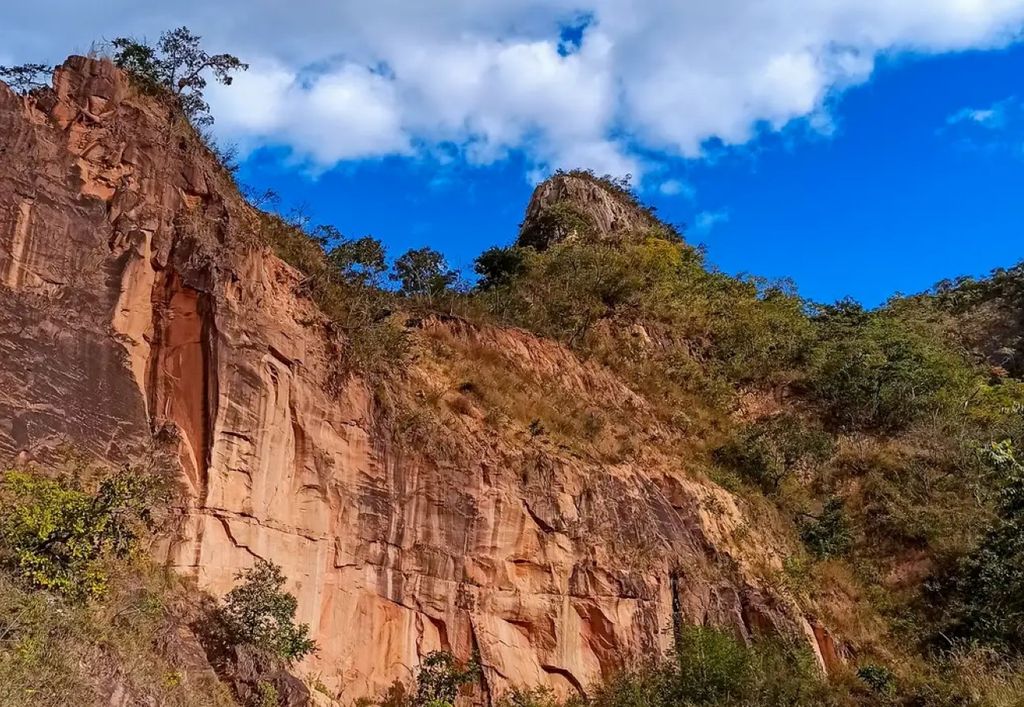 Paisagem do Parque Nacional Grande Sertão Veredas, área protegida no coração do Cerrado que abriga rica biodiversidade e homenageia a obra de Guimarães Rosa