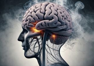 ¡Alerta! Así afecta la ola de calor a tu cerebro 