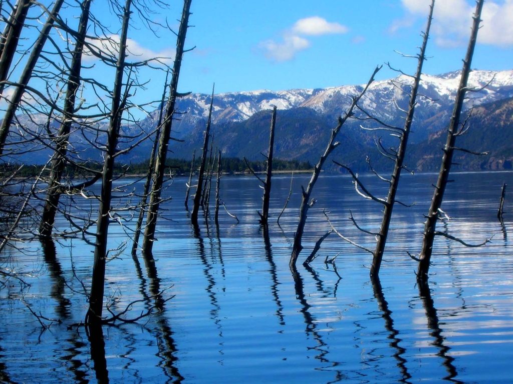 Bosque sumergido Villa Lago Traful tsunami olas Bosque sumergido Villa Lago Traful tsunami olas