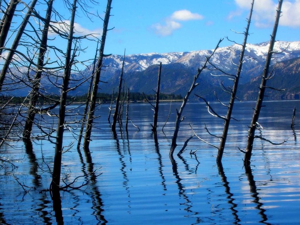 Peligro De Tsunami En Villa Traful Neuquen