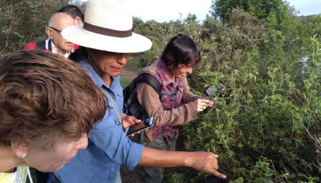 En esta área de reserva se realizan también actividades de educación ambiental. Imagen. El Charco